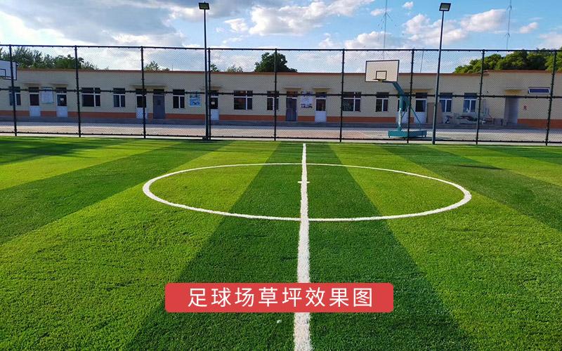 足球場(chǎng)草坪效果圖