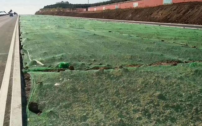 防塵網(wǎng)覆蓋效果圖2